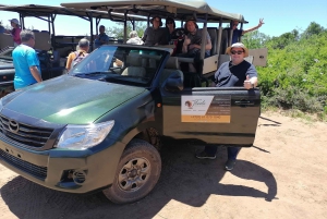 Port Elizabeth: Safari i Schotia Private Game Reserve