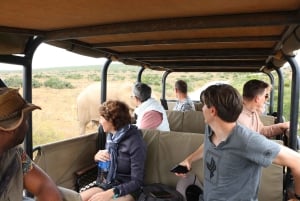 Порт-Элизабет: Сафари в частном заповеднике Schotia