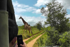 Port Elizabeth: Schotia Safaris Game Reserve Safari