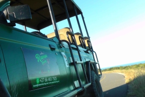 Port Elizabeth: Schotia Safaris Game Reserve Safari