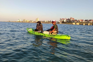 Port Elizabeth : Excursion en kayak de mer le long de la plage King's Beach