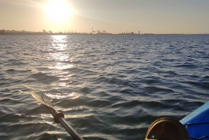 Port Elizabeth : Excursion en kayak de mer le long de la plage King's Beach