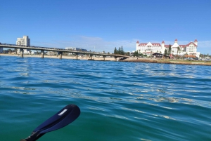 Port Elizabeth : Excursion en kayak de mer le long de la plage King's Beach