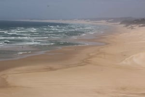 Port Elizabeth: escursione panoramica lungo la costa
