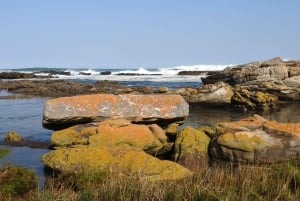 Port Elizabeth: escursione panoramica lungo la costa