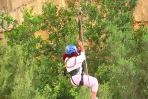 Port Elizabeth: Tsitsikama National Park full-day