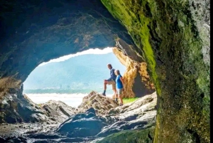 Port Elizabeth: Tsitsikama National Park full-day