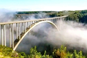 Port Elizabeth: Tsitsikama National Park full-day