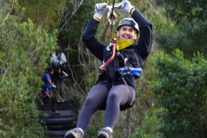 Port Elizabeth: Tsitsikama National Park full-day