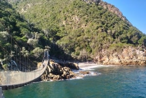 Port Elizabeth: Tsitsikama National Park full-day