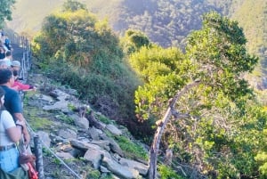 Port Elizabeth: Tsitsikama National Park full-day