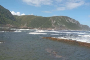 Puerto Elizabeth Excursión al Parque Nacional de Tsitsikamma