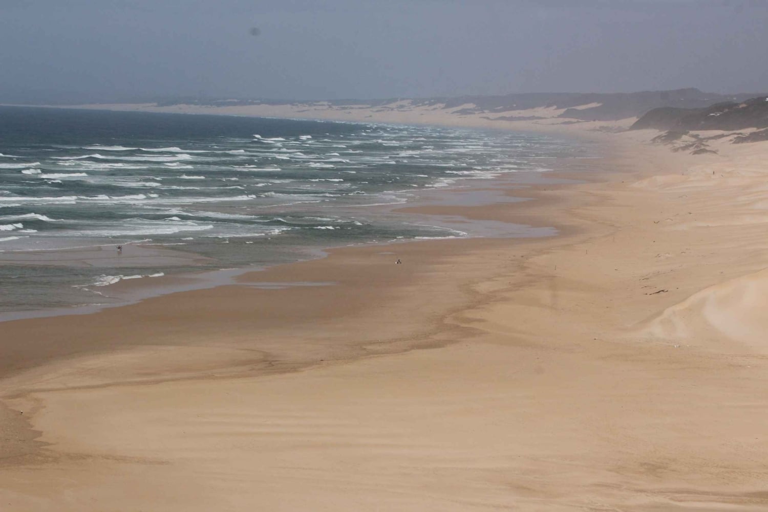 Port Elizabeth: Wildside Scenic Coastal Drive Full-Day Tour