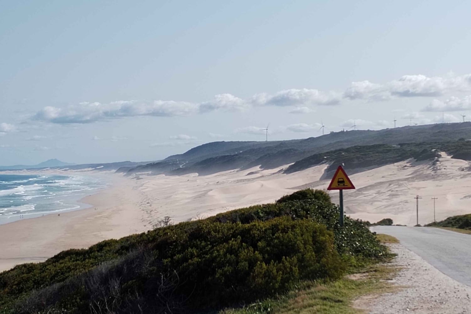 Port Elizabeth: Wildside Scenic Coastal Drive Full-Day Tour