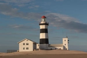 Port Elizabeth: Wildside Scenic Coastal Drive Full-Day Tour