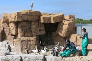 Port Elizabeth: Wildside Scenic Coastal Drive Full-Day Tour