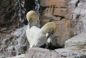 Port Elizabeth: Wildside Scenic Coastal Drive Full-Day Tour