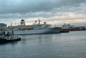 Förbokad Robben Island halvdagsutflykt tur och retur