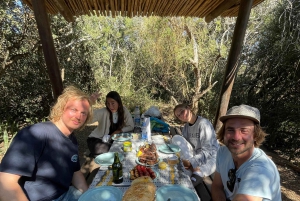 Privat safari i Addo Elephant Park & upphämtning/avlämning