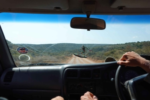 Privat safari i Addo Elephant Park & upphämtning/avlämning