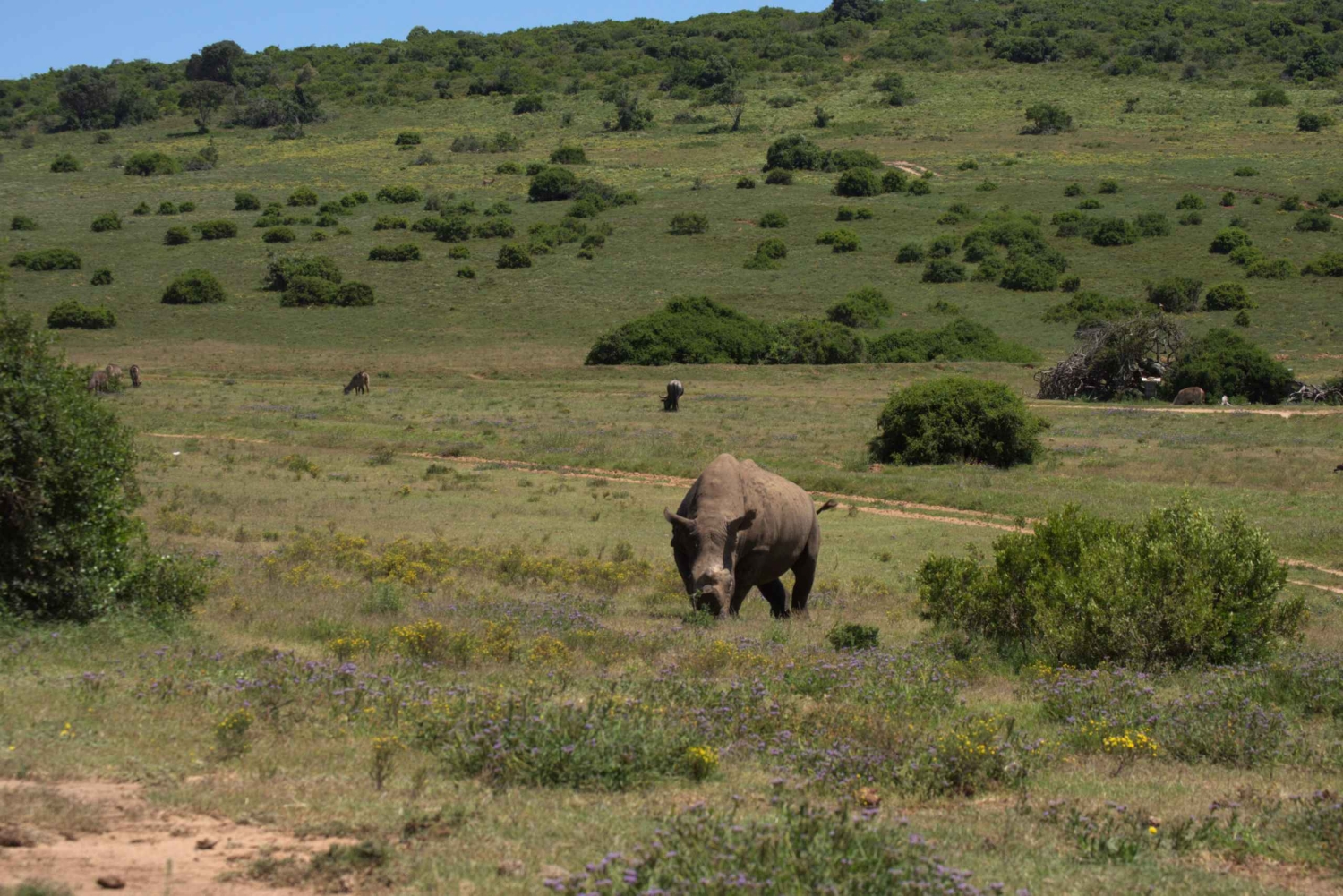 Частная дневная экскурсия по Шотиа + ночная поездка