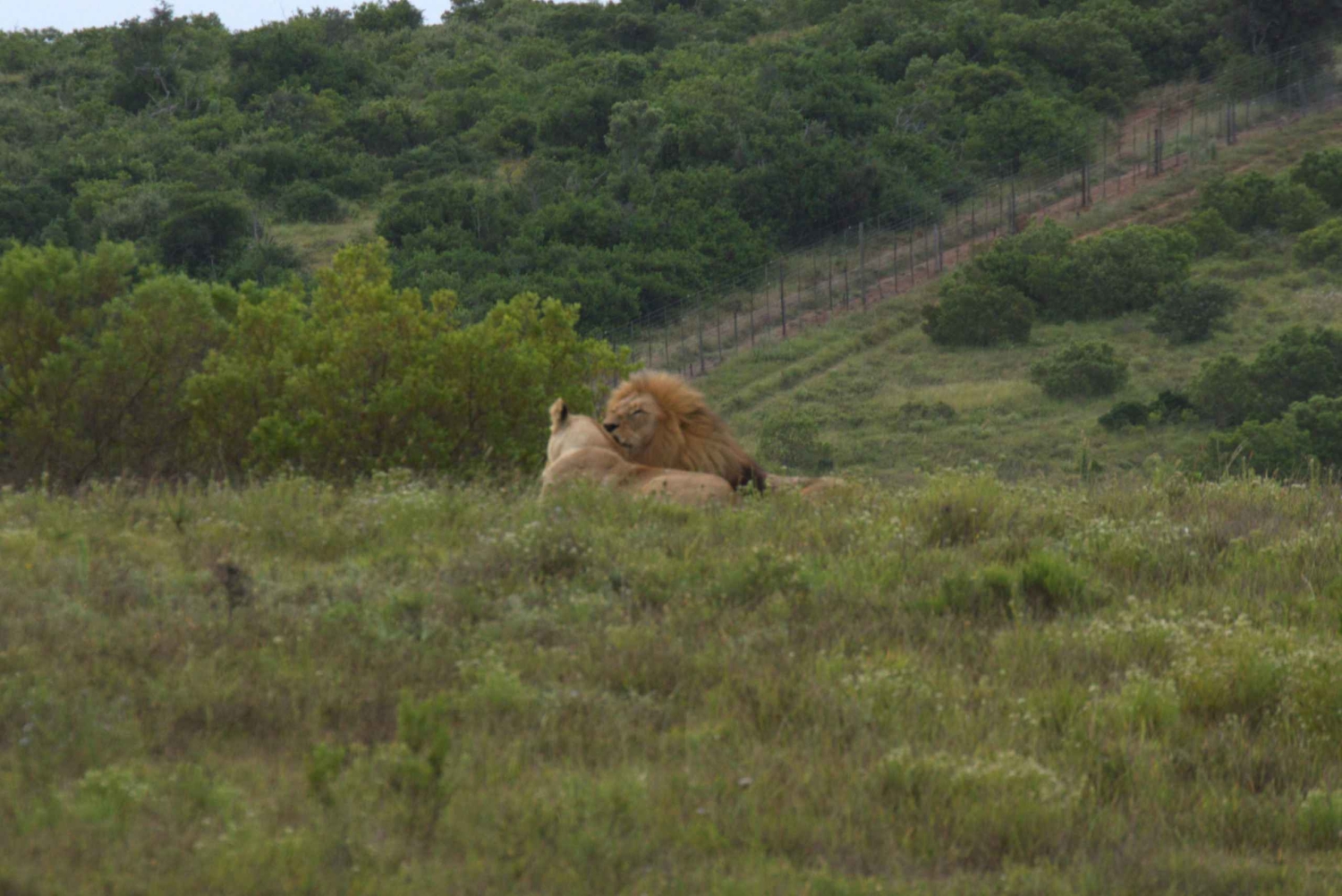 Частная дневная экскурсия по Шотиа + ночная поездка