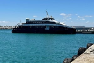 Private Ganztagestour nach Robben Island und zum Tafelberg