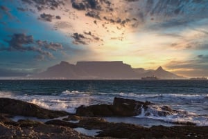 Private Ganztagestour nach Robben Island und zum Tafelberg