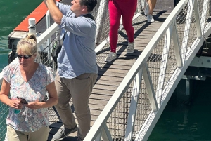 Private Ganztagestour nach Robben Island und zum Tafelberg