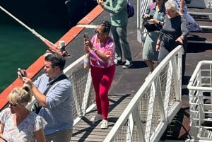 Private Ganztagestour nach Robben Island und zum Tafelberg