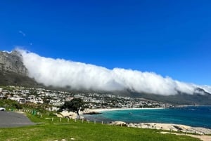 Private Ganztagestour nach Robben Island und zum Tafelberg