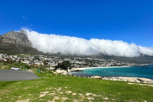 Private Ganztagestour nach Robben Island und zum Tafelberg