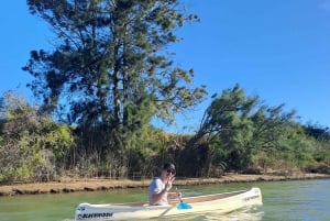 Каякинг по реке Гамтус и однодневная поездка на курорт