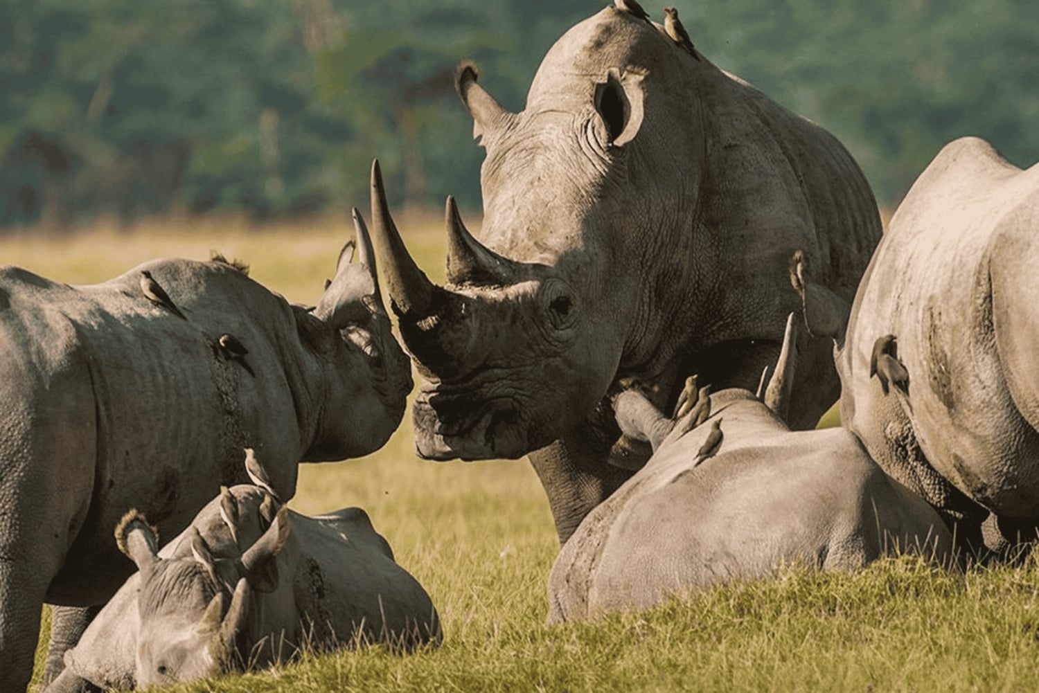 Частный тур по Садовому маршруту из Кейптауна на 5 дней и более
