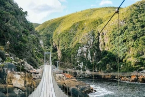 Частный тур по Садовому маршруту из Кейптауна на 5 дней и более