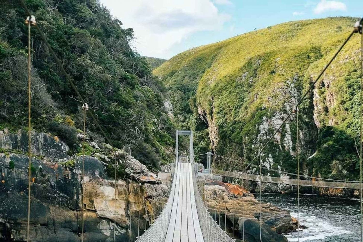 Privat Garden Route Tour från Kapstaden i 5 dagar eller mer