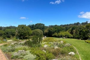 Private Half-day Tour of the Cape Winelands in Stellenbosch