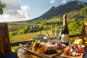 Private Half-day Tour of the Cape Winelands in Stellenbosch