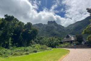Private Half-day Tour of the Cape Winelands in Stellenbosch