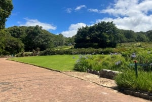 Private Half-day Tour of the Cape Winelands in Stellenbosch