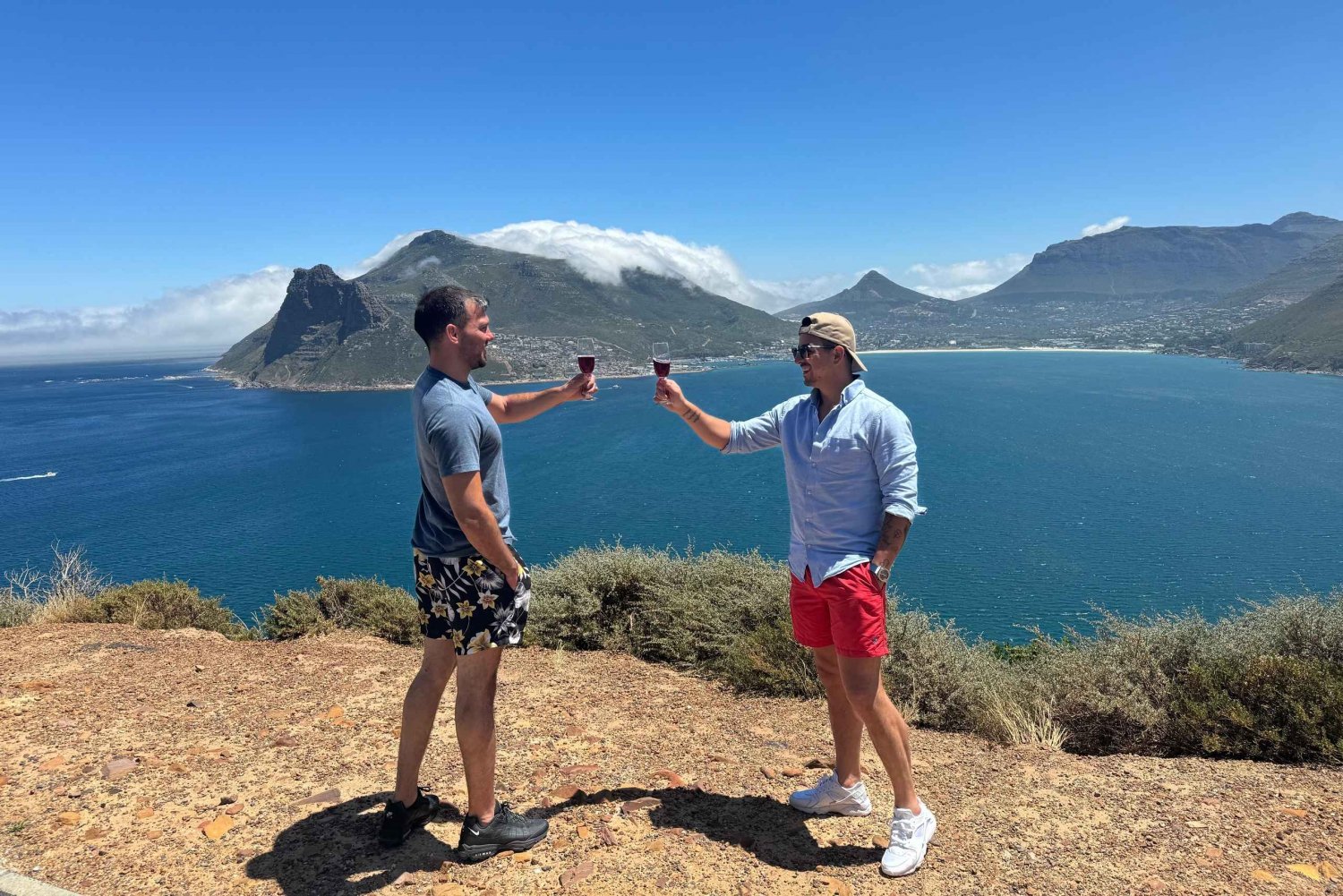 Tour particular: Cape Point, Pinguins, Chapmans Peak & mais...
