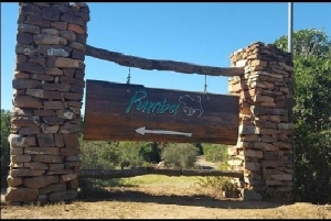 Pumba: päiväkierros yksityisellä luonnonsuojelualueella lounaalla