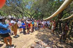 Safari Leijona- ja sarvikuonopuistossa / Lesedi Culture Village (Lesedin kulttuurikylä)