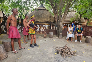 Safari Leijona- ja sarvikuonopuistossa / Lesedi Culture Village (Lesedin kulttuurikylä)