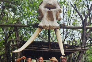 Safari Leijona- ja sarvikuonopuistossa / Lesedi Culture Village (Lesedin kulttuurikylä)