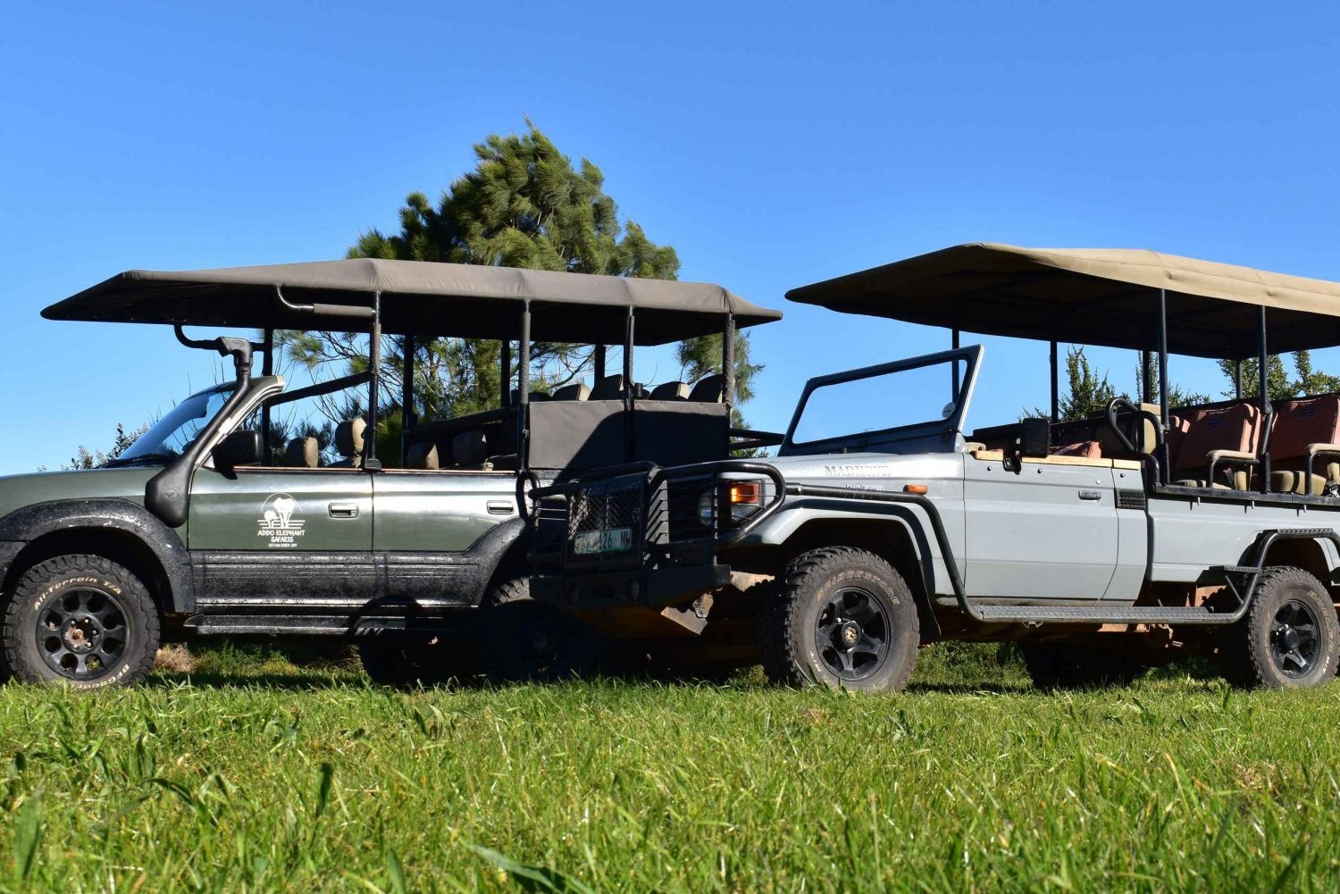 Safari dans la Schotia visite d'une demi-journée