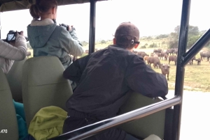 Schotia-safaritur (med picnic)