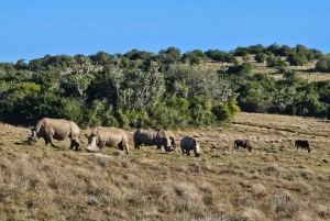 Schotia-safaritur (med picnic)
