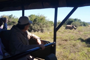 Schotia-safaritur (med picnic)