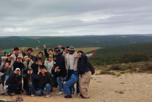 Schotia-safaritur (med picnic)